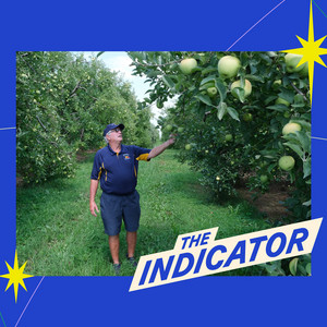 Podcast Cover