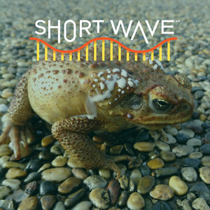 Podcast Cover