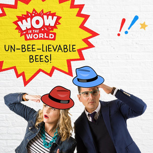 Podcast Cover