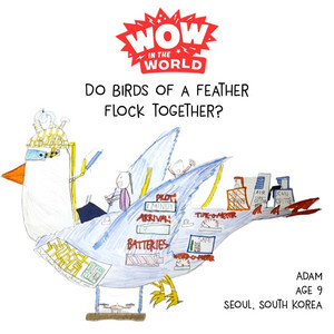 Podcast Cover