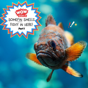 Podcast Cover