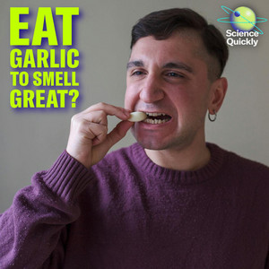 Podcast Cover