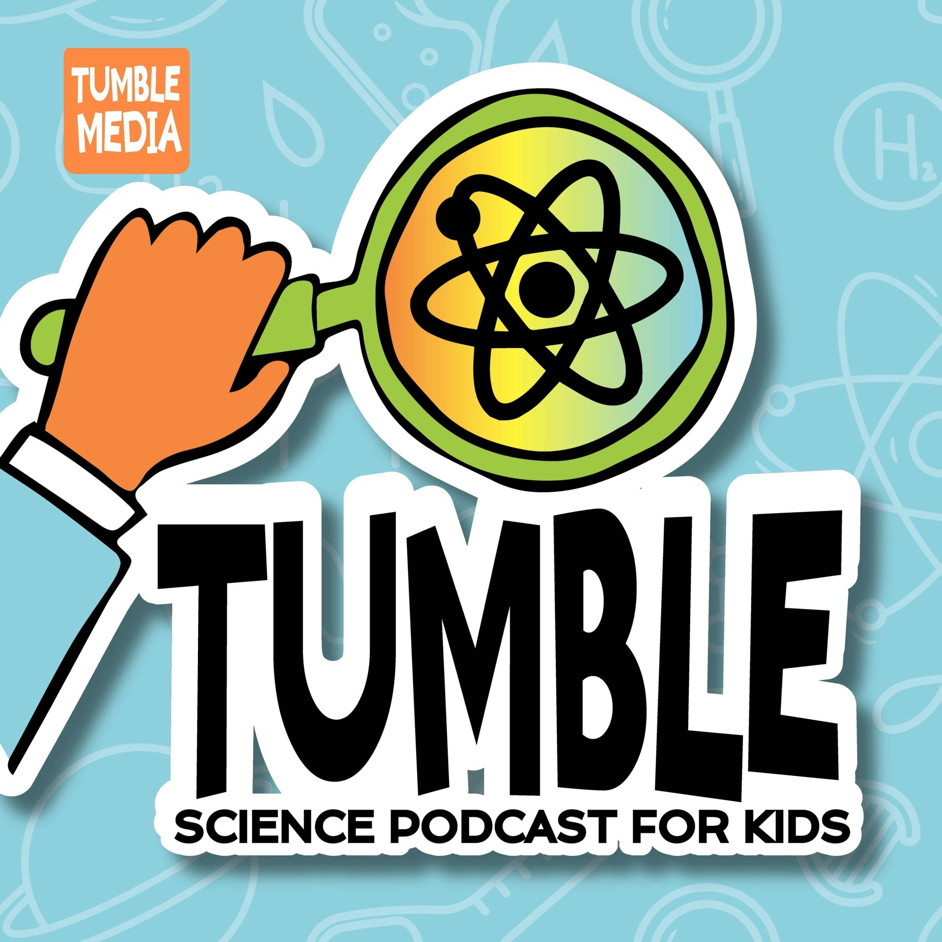 Podcast Cover