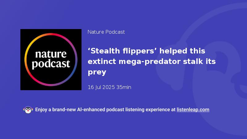 播客封面